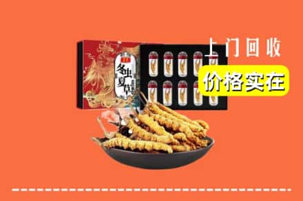 磐安县回收虫草